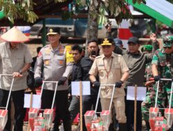 Bersama Gubernur, Kapolda Kalteng Tanam Jagung Perdana Kuartal IV di Kapuas