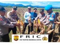 Polres Kuningan Kawal Panen Raya Jagung Hibrida Serentak Demi Wujudkan Swasembada Pangan Nasional