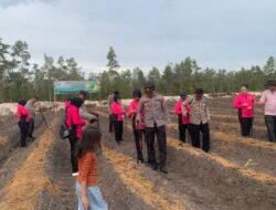 Bersama Bhayangkari dan Kelompok Tani, Polsek Rakumpit Tanam Jagung di Kelurahan Pager