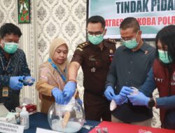 Polresta Palangka Raya Musnahkan Ratusan Gram Barang Bukti Narkotika