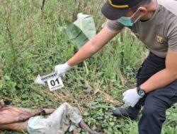 Warga Desa Merah Mata Kabupaten Banyuasin Dihebohkan Dengan Penemuan Mayat Perempuan Yang Sudah Membusuk