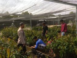 Sambangi Perusahaan Pembibitan, Bhabinkamtibmas Marang Sampaikan Pesan Kamtibmas