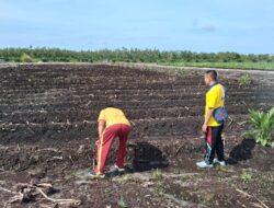 Persiapkan Tanam Serentak, Kapolsek Rakumpit Bersama Anggota Laksanakan Kurvei di Kebun Jagung Elea Farm