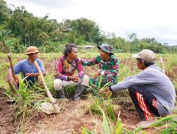 Disela Kesibukan, Satgas TMMD KE-127 Kodim 0808/Blitar Jalin Keakraban Bersama Petani Di Desa Krisik