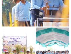 Sinergi Muspida Kota Blitar dalam Panen Raya, Wujudkan Kemandirian Pangan Daerah