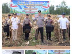 Kapolda Kalteng Laksanakan Panen Raya Jagung Kuartal II Bersama Forkopimda di Rakumpit, Bukti Komitmen Dukung Penguatan Ketahanan Pangan