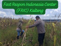 Dukung Swasembada Pangan, Polsek Rakumpit Sambangi Kebun Jagung Poktan Elea Farm 