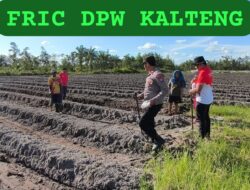 Dukung Swasembada Pangan, Polsek Rakumpit Bantu Poktan Elea Farm Tanami Kebun Jagung