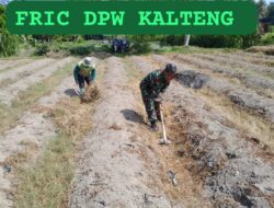 Dukung Ketahanan Pangan, Sertu Harianto Dampingi Petani Penyiapan Lahan Sawah Di Desa Ngoran