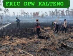 Usai Apel, Personel Polresta Palangka Raya Berjibaku Padamkan Karhutla di Petuk Katimpun
