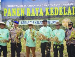 Lapas Selong Panen 2 Ton Kedelai dan 800 Kg Edamame di SAE Menanga Baris