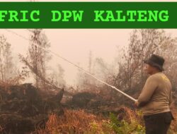 Pendinginan Lanjutan, Regu 6 dan 7 Polresta Palangka Raya Tangani Karhutla di Marang