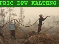 Angin Kencang Picu Api Kembali Menyala, Satgas Karhutla Polresta Palangka Raya Padamkan Lahan di Banturung