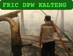 Antisipasi Api Kembali Menyala, Satgas Karhutla Lanjutkan Pendinginan di Bukit Tunggal